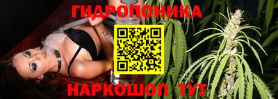 крисы Малгобек