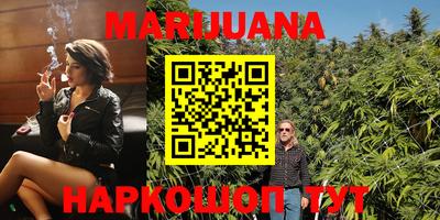 крисы Малгобек