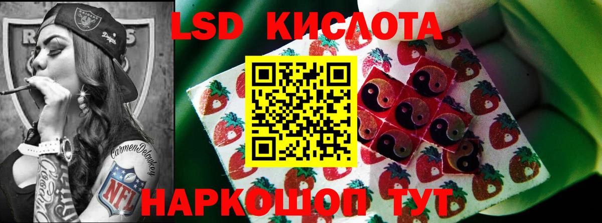 МЕФ Волгоград