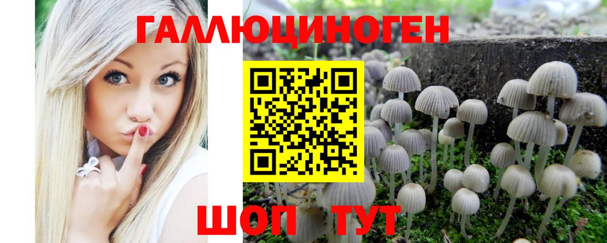 Псилоцибиновые грибы мухоморы Волгоград